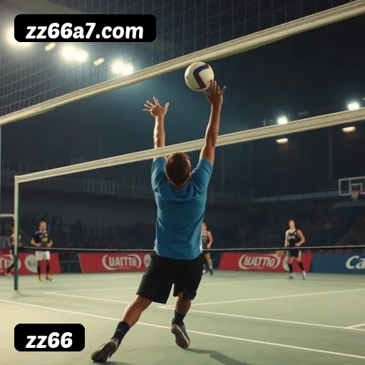 Comparação APP mobile vs versão web da zz66