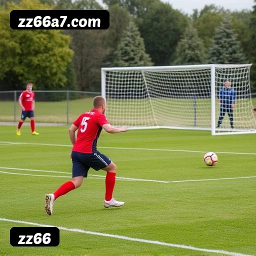 zz66 APP mobile iOS Android - 187 mil downloads São Paulo Rio BH